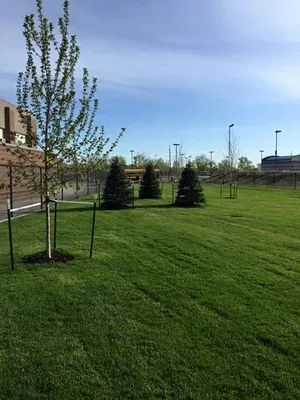 Casper Schools