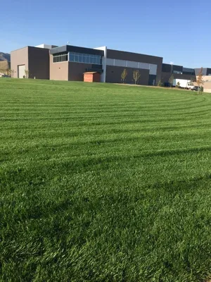 Casper Schools