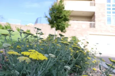 The Legacy Living & Rehabilitation Center