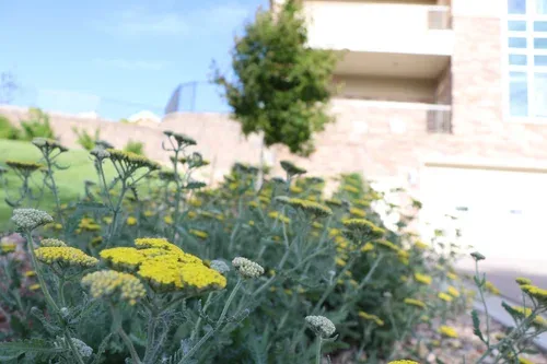 The Legacy Living & Rehabilitation Center